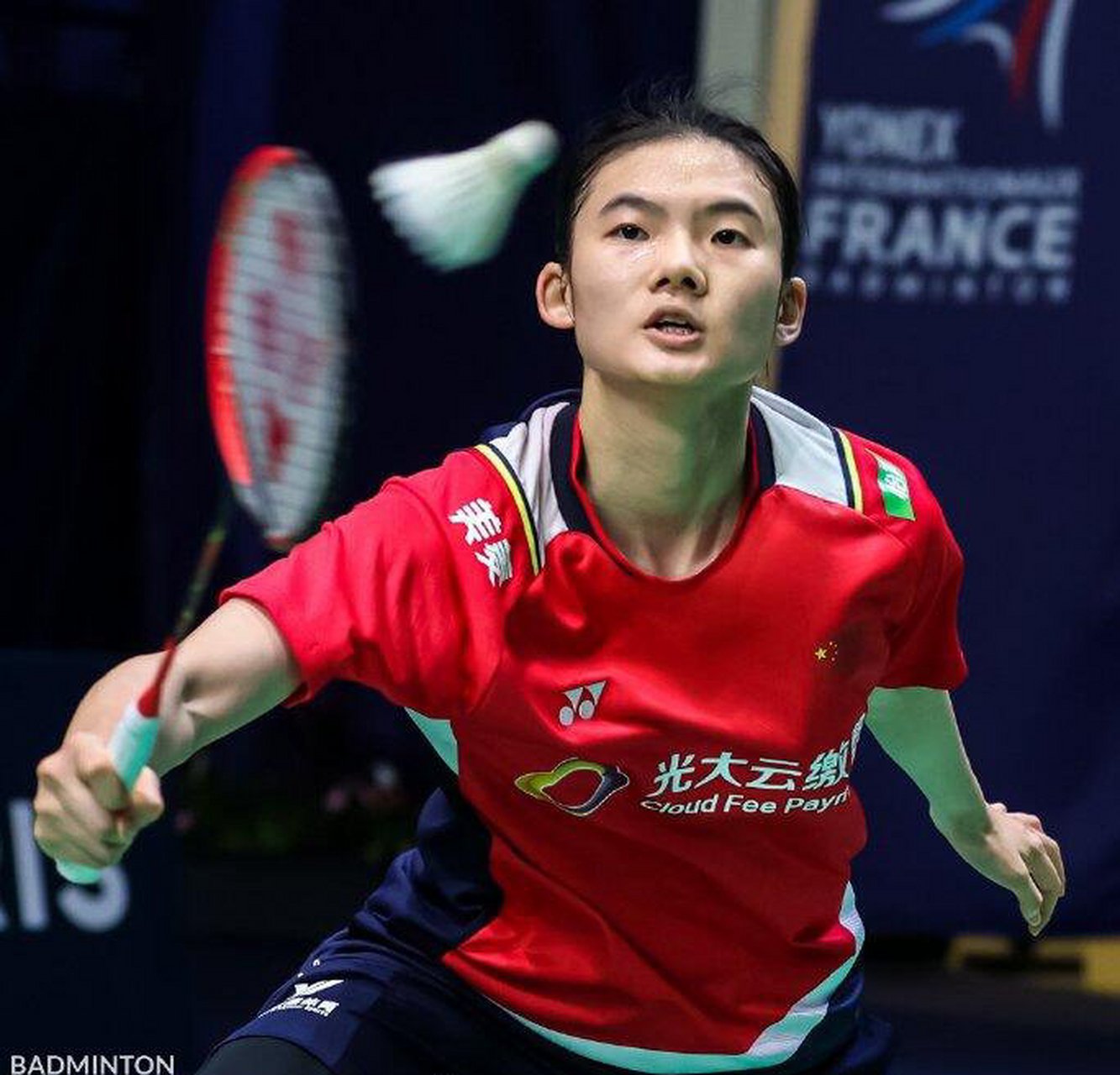 献的赞礼 献的赞礼