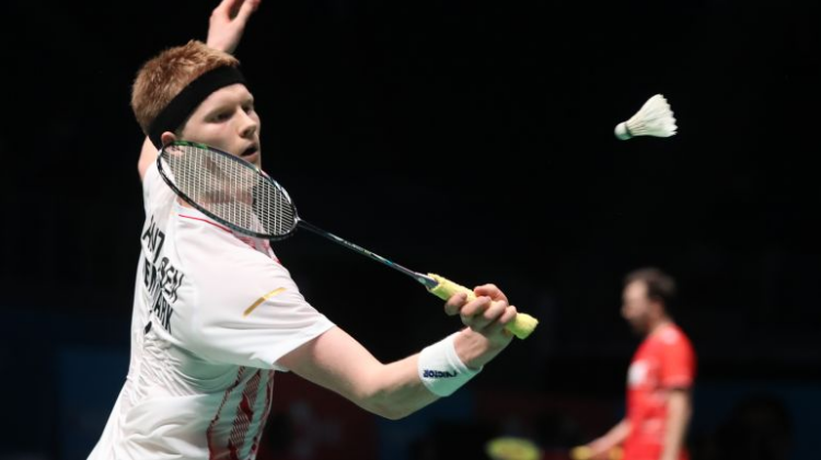 以适应多变 以适应多变